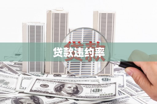 随县贷款违约率