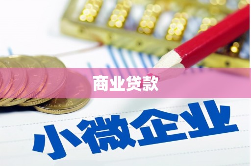 随县商业贷款