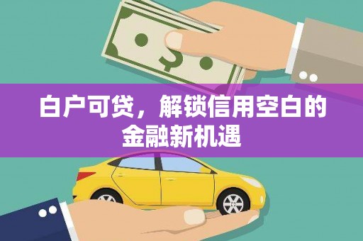 随县白户可贷，解锁信用空白的金融新机遇