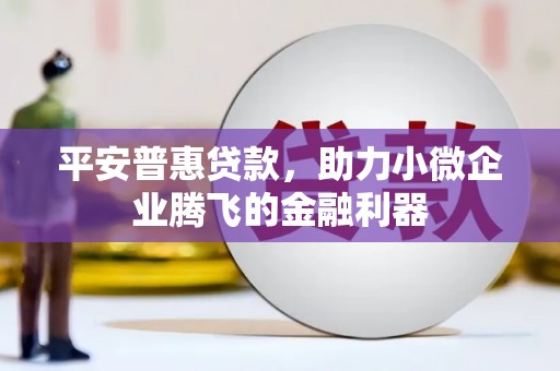 随县平安普惠贷款，助力小微企业腾飞的金融利器