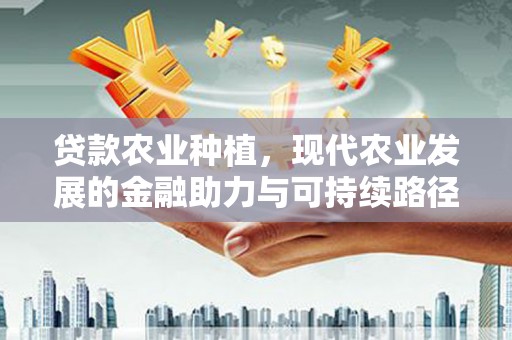 随县贷款农业种植，现代农业发展的金融助力与可持续路径