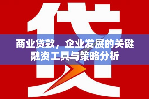 随县商业贷款，企业发展的关键融资工具与策略分析
