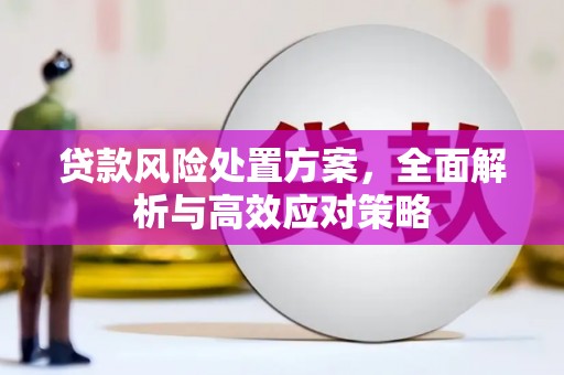 随县贷款风险处置方案，全面解析与高效应对策略