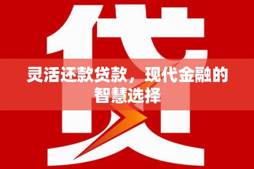 随县灵活还款贷款，现代金融的智慧选择