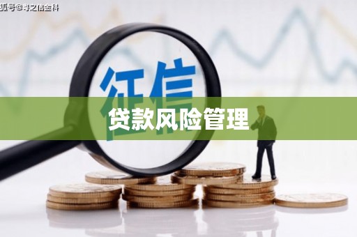 随县贷款风险管理