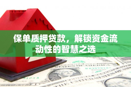 随县保单质押贷款，解锁资金流动性的智慧之选