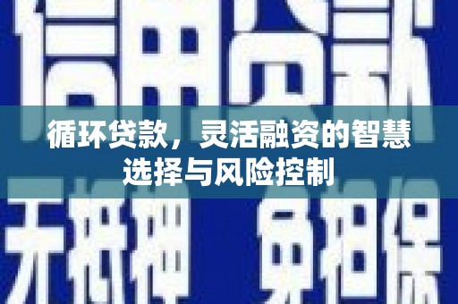随县循环贷款，灵活融资的智慧选择与风险控制