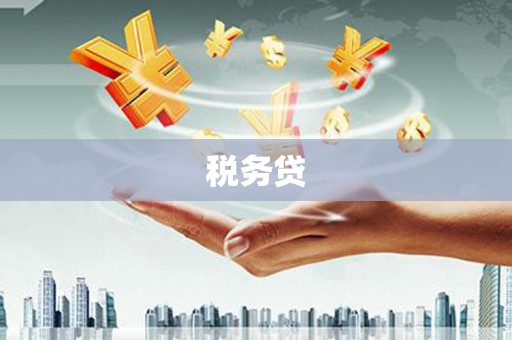 随县税务贷