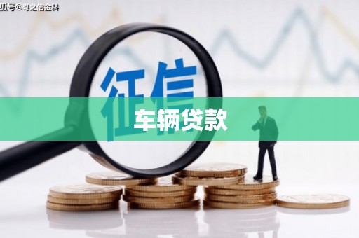 随县车辆贷款