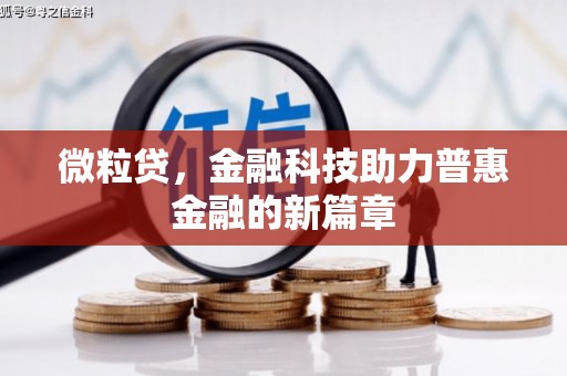 随县微粒贷，金融科技助力普惠金融的新篇章