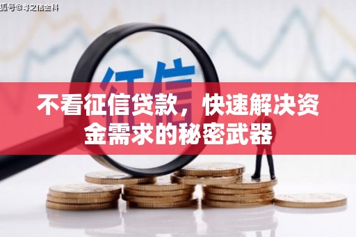 随县不看征信贷款，快速解决资金需求的秘密武器