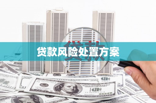 随县贷款风险处置方案