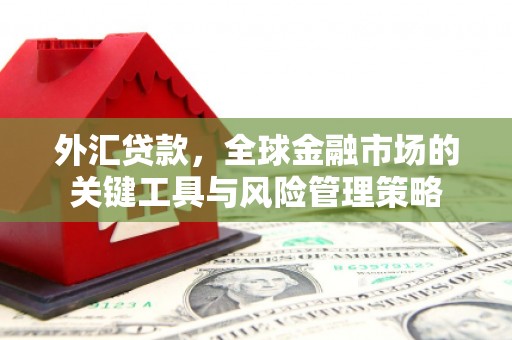随县外汇贷款，全球金融市场的关键工具与风险管理策略