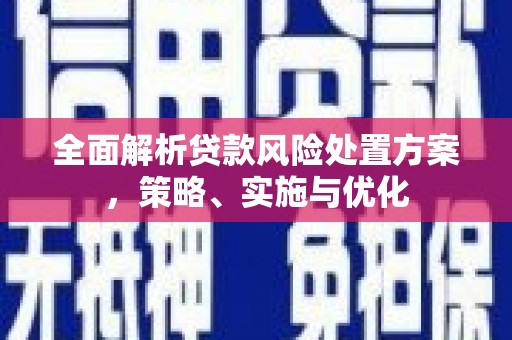 随县全面解析贷款风险处置方案，策略、实施与优化