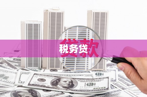 随县税务贷