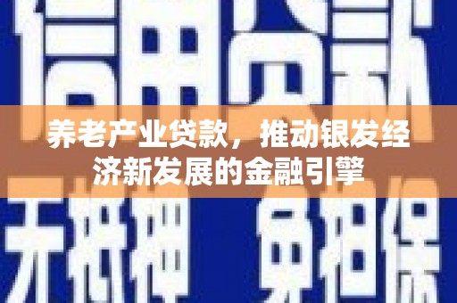 随县养老产业贷款，推动银发经济新发展的金融引擎