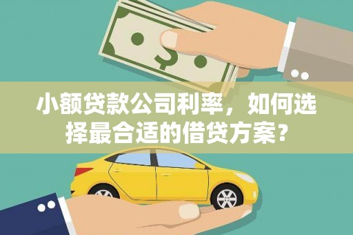 随县小额贷款公司利率，如何选择最合适的借贷方案？