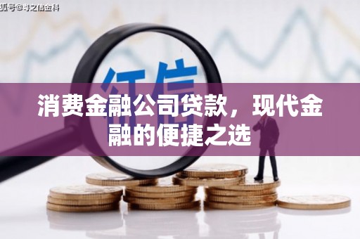 随县消费金融公司贷款，现代金融的便捷之选