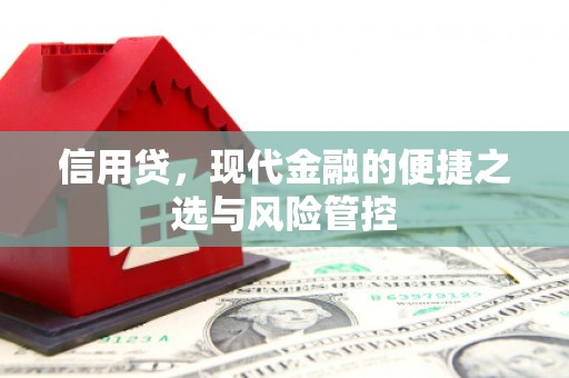随县信用贷，现代金融的便捷之选与风险管控