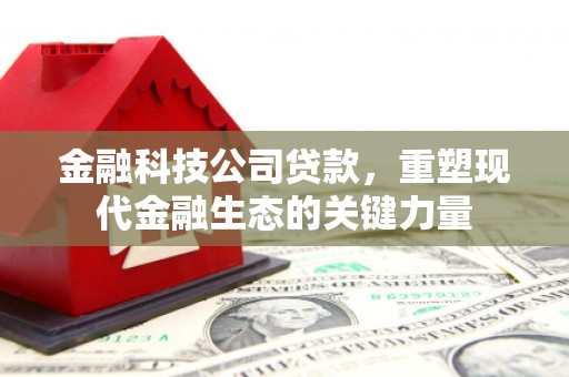 随县金融科技公司贷款，重塑现代金融生态的关键力量