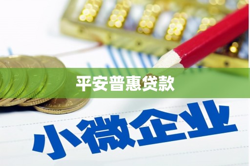 随县平安普惠贷款