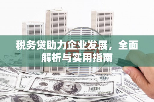随县税务贷助力企业发展，全面解析与实用指南