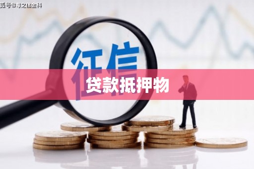 随县贷款抵押物