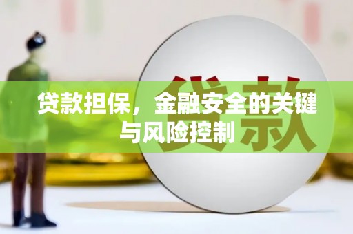 随县贷款担保，金融安全的关键与风险控制