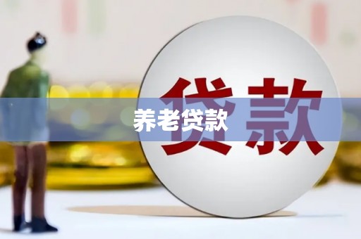 随县养老贷款