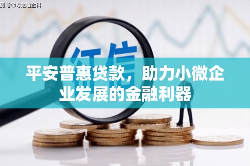 随县平安普惠贷款，助力小微企业发展的金融利器
