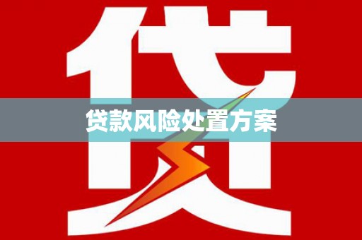 随县贷款风险处置方案