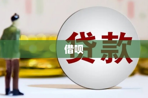 随县借呗